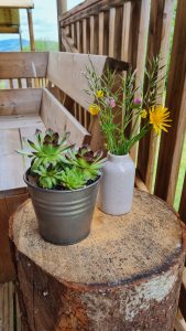 Lodge en bois interieur