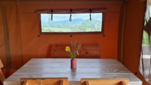 Lodge en bois interieur